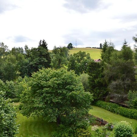 Horský apartmán Pod Zelenou Střechou Bartosovice v Orlickych Horach Exterior foto